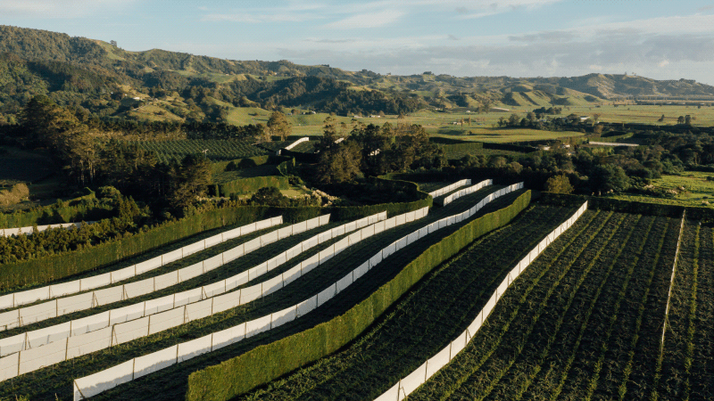 This is a image description coming from DAM