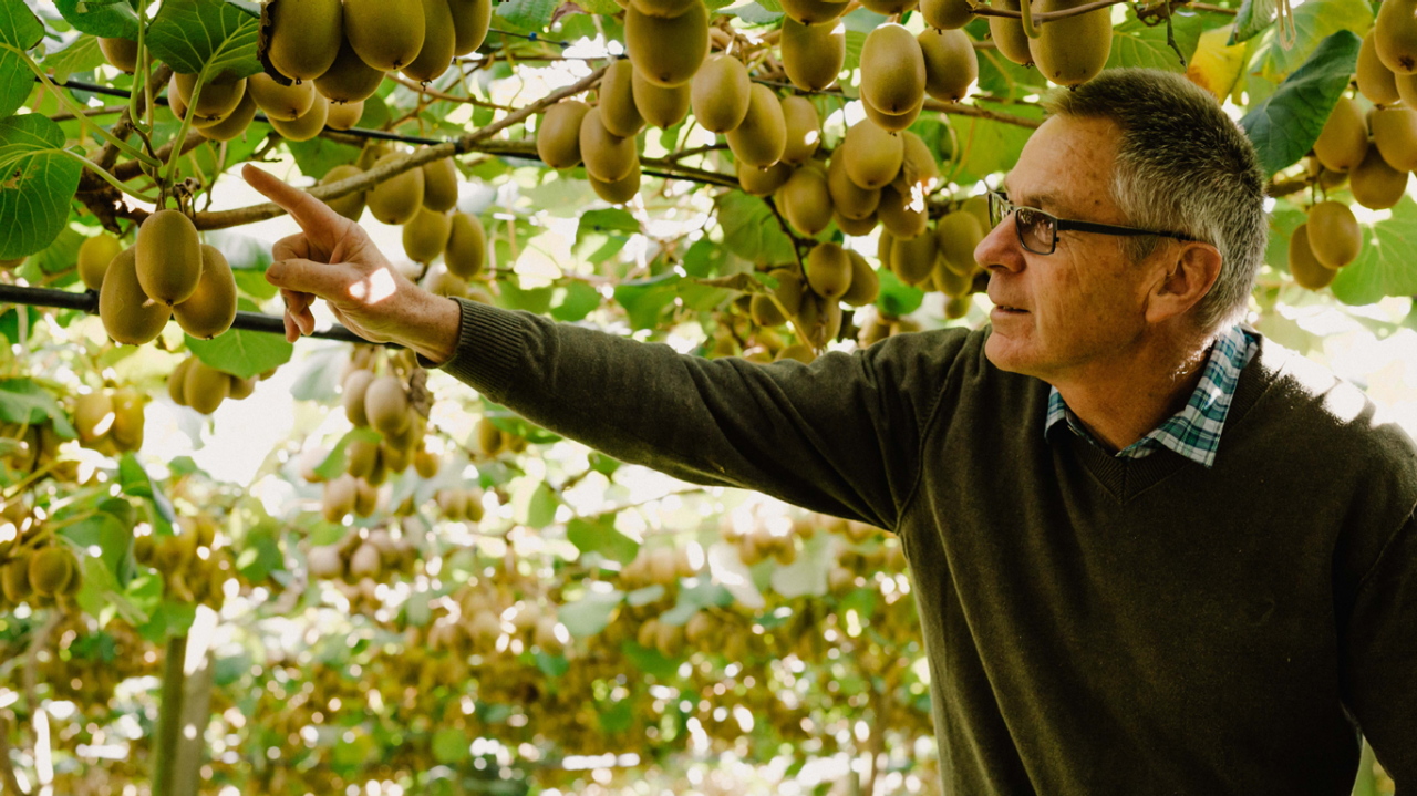 Male and female walking down driveway in front of rural home