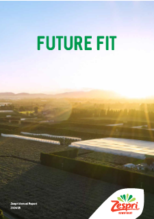 Annual-Report-2024-25.pdf