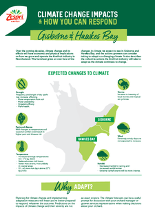 Regional-Factsheet-Gisborne-HawkesBay.pdf