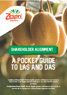 Shareholder-Alignment-Pocket-Guide-to-LaS-and-DaS.pdf