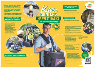 KiwiPointers-Poster-Harvest-Basics.pdf