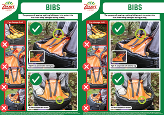Zespri harvest bag and bib resource print A5.pdf