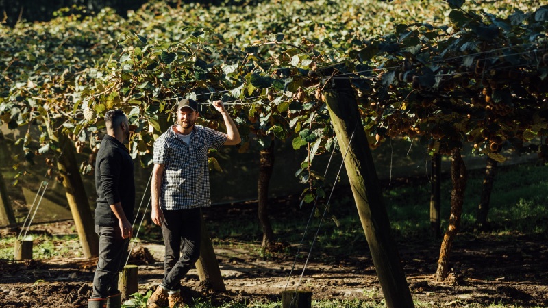 Kellogg Rural Leadership Programme - Applications open