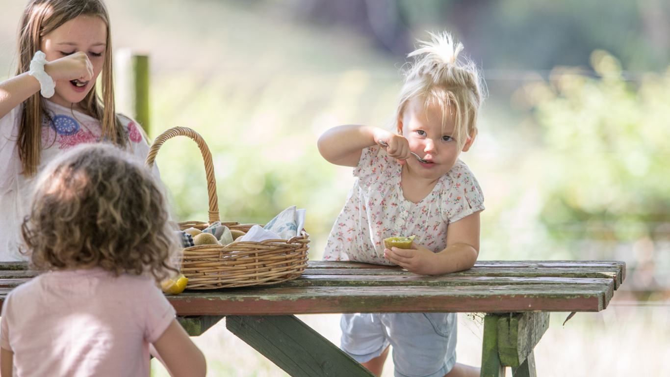 Zespri hits major milestone with fruit reaching 100 million+ households globally 