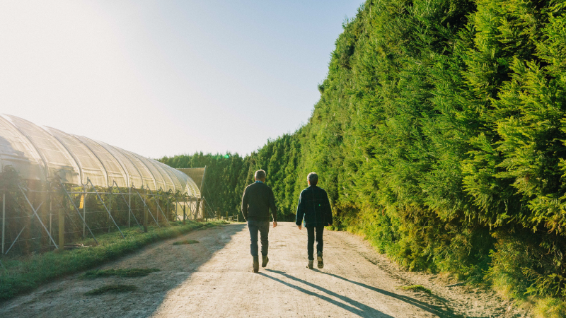 Your orchard business