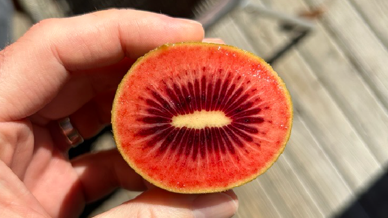 Zespri to commercialise additional red variety to support growth of Zespri RubyRed™