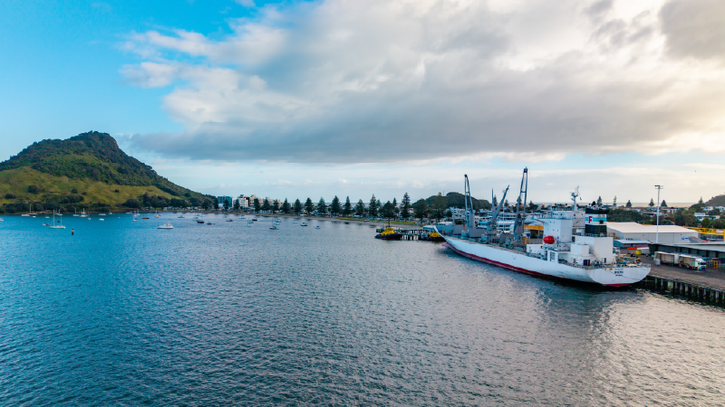 Our final charter shipment of the New Zealand kiwifruit season has arrived in Japan