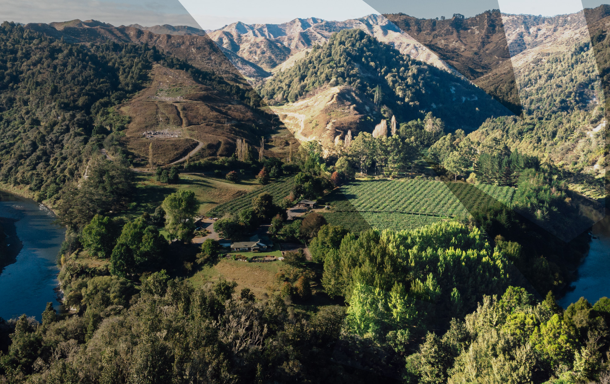 Zespri ZAG Innovation Fund kicks off second year with mission to propel a sustainable future 